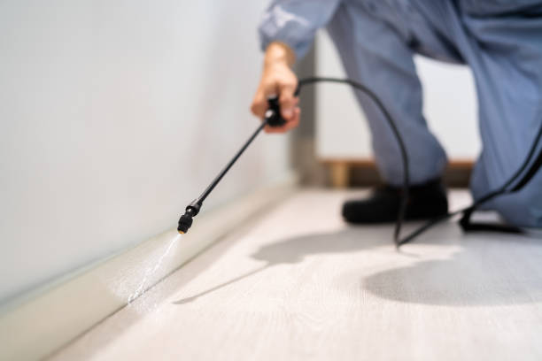 Licensed Ant Control service in Harper County County, OK - Nex Pest Control